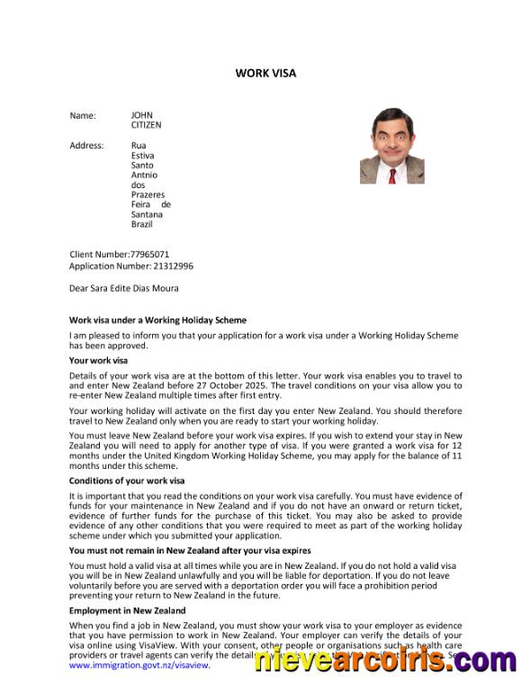 Professional New Zealand E Visa Template In Word And PDF Formats