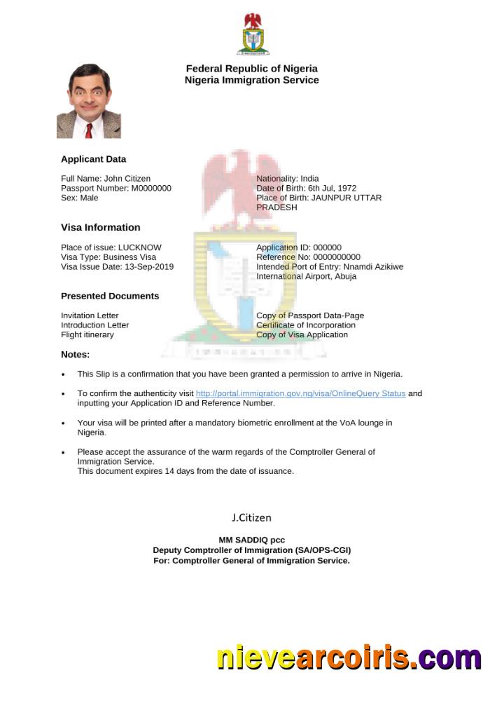 Professional Nigeria E Visa In Word And PDF Template