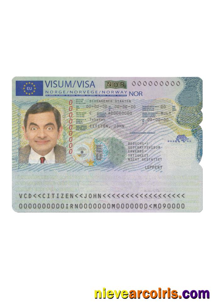 Norway Schengen Visa Sample