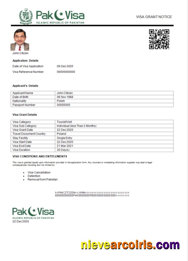 Realistic Pakistan E Visa In Word And PDF Template