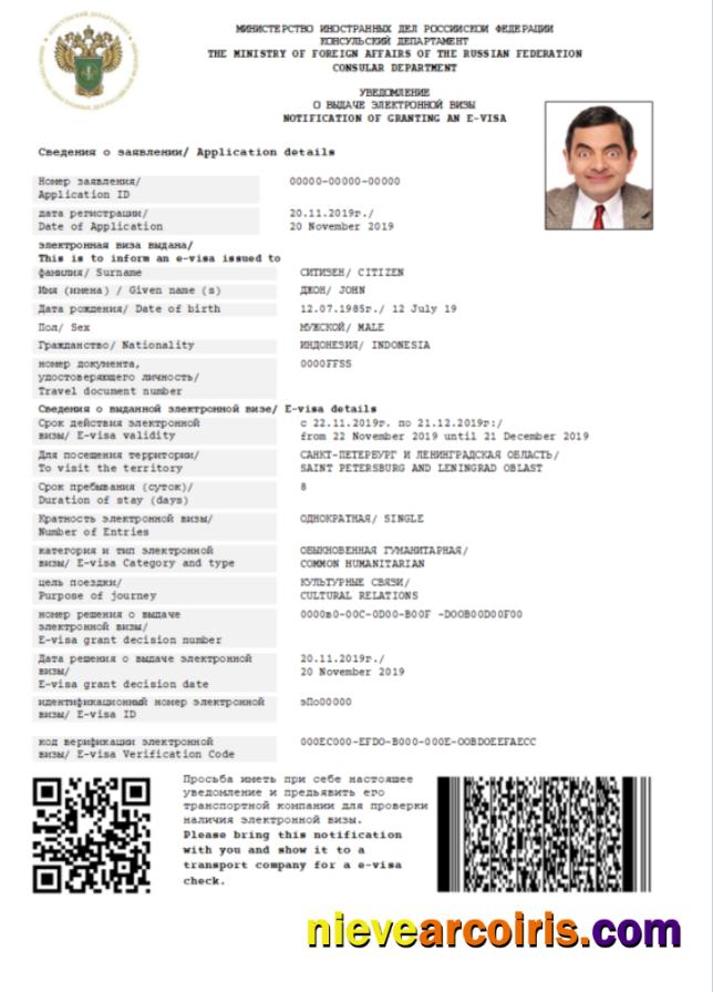 Premium Russia E Visa In Word And PDF Template
