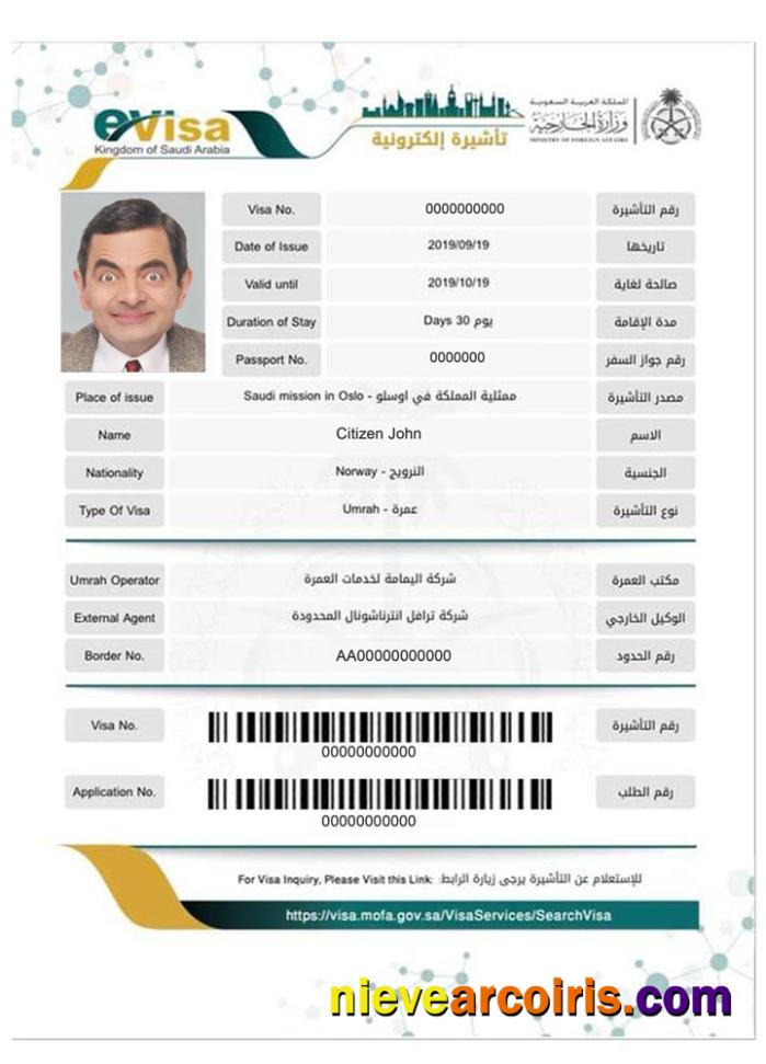 SAUDI ARABIA E Visa Template