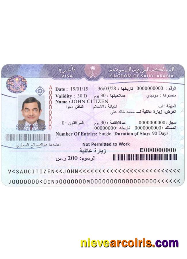 SAUDI ARABIA Visa Version 2 Preview