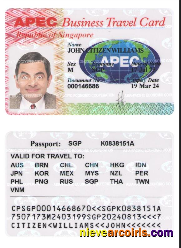 SINGAPORE Business Travel Card Preview