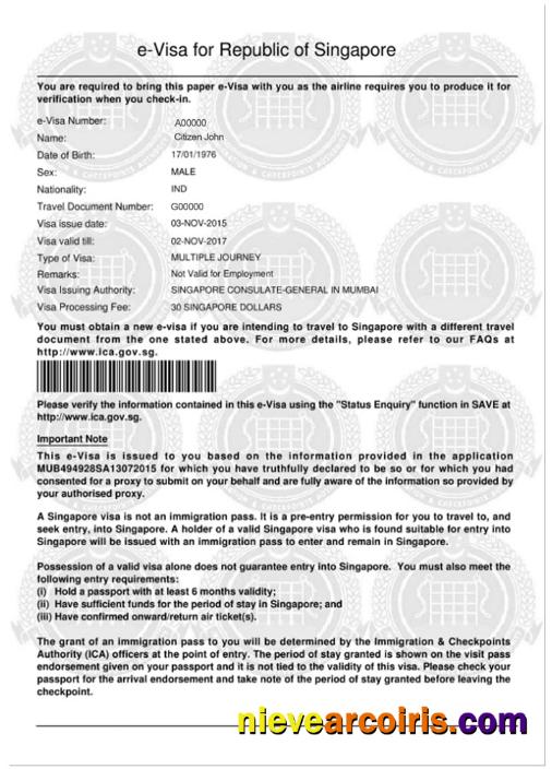 SINGAPORE E Visa Template