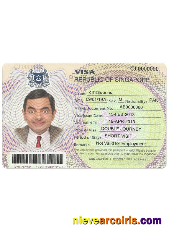 SINGAPORE Visa Sample