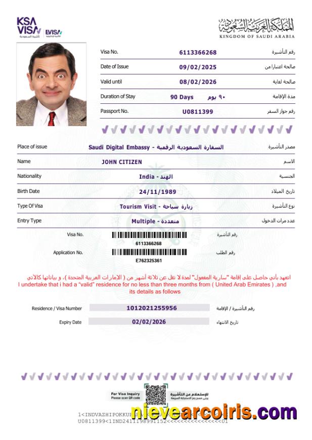 Premium Saudi Arabia E Visa Template In Word And PDF Formats, Version 2