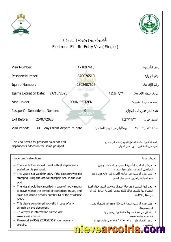 Realistic Saudi Arabia E Visa Template In Word And PDF Formats, Version 3