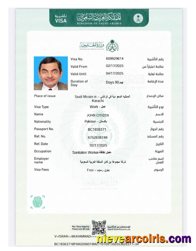 Editable Saudi Arabia E Visa Template In Word And PDF Formats, Version 4