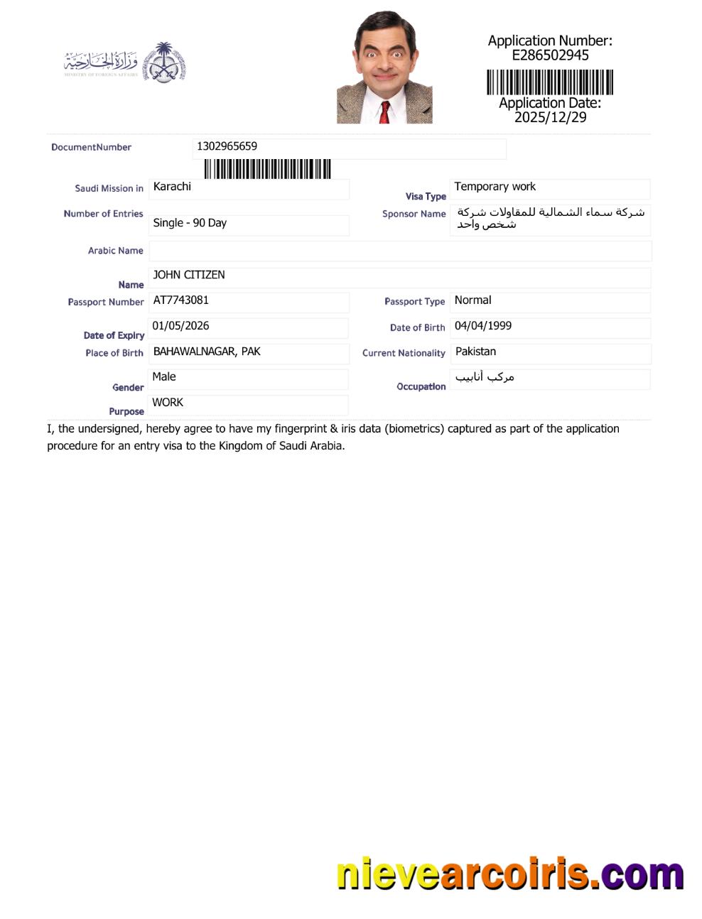 Premium Saudi Arabia E Visa Template In Word And PDF Formats, Version 6