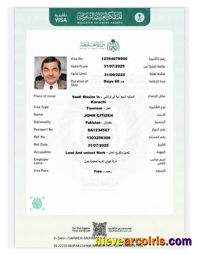 Premium Saudi Arabia E Visa Template In Word And PDF Formats, Version 7