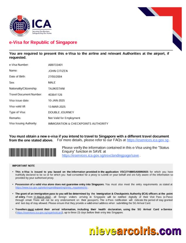 Editable Singapore E Visa Template In Word And PDF Formats, Version 2