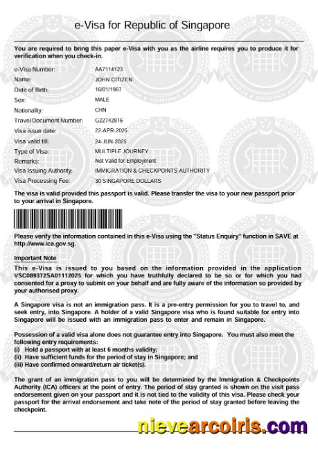 Realistic Singapore E Visa Template In Word And PDF Formats