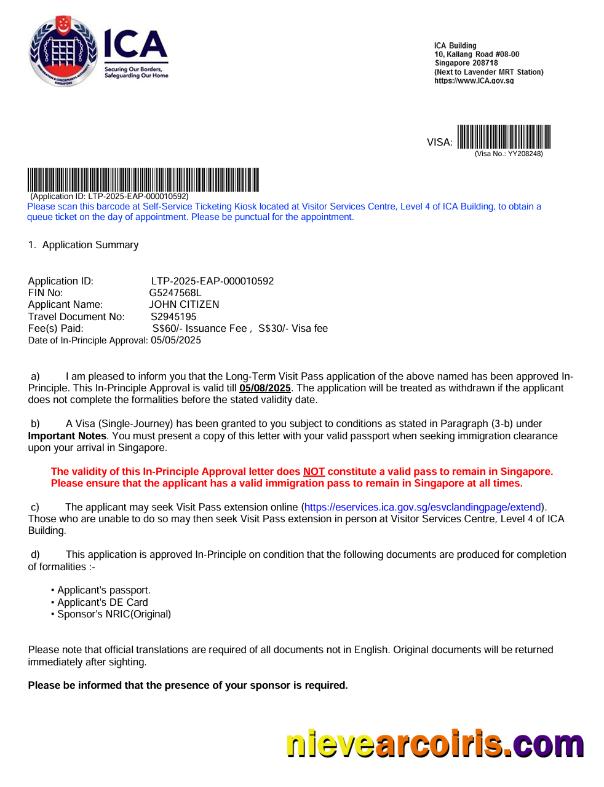 Editable Singapore Visa Approval Letter Template In Word And PDF Formats
