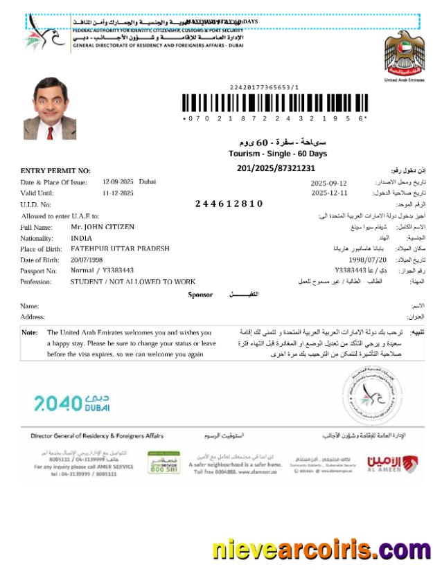 Premium UAE E Visa Template In Word And PDF Formats, Version 3