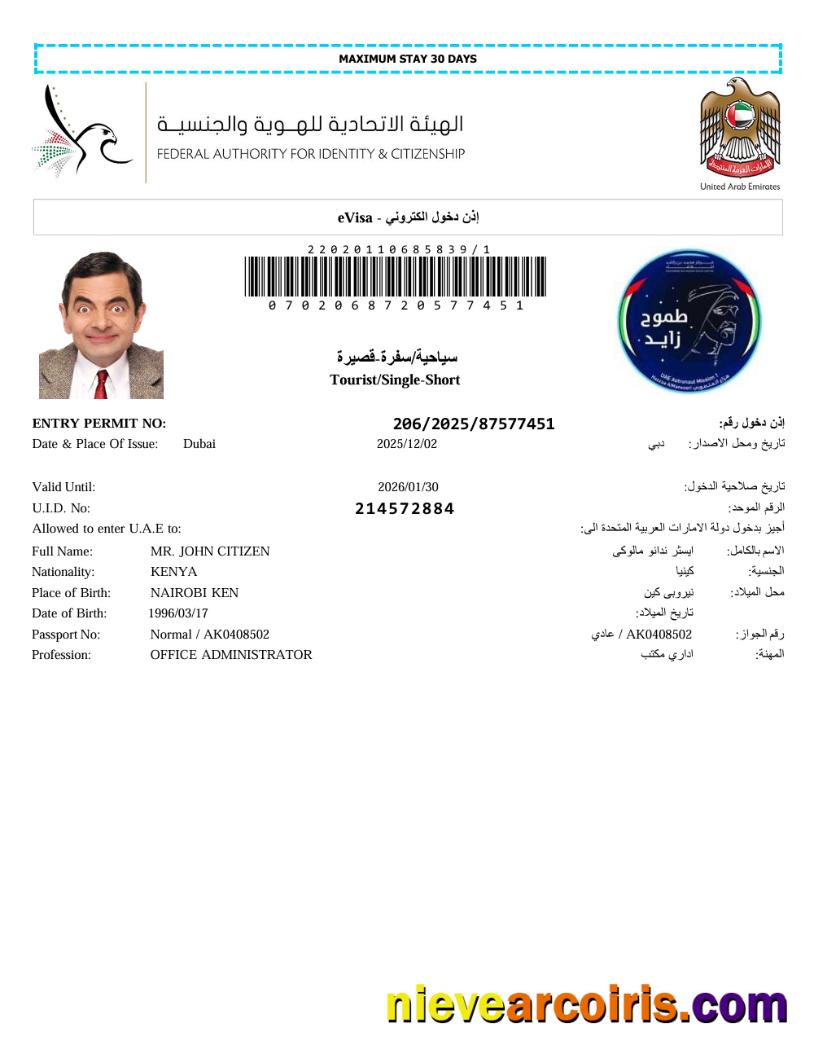 Professional UAE E Visa Template In Word And PDF Formats, Version 6