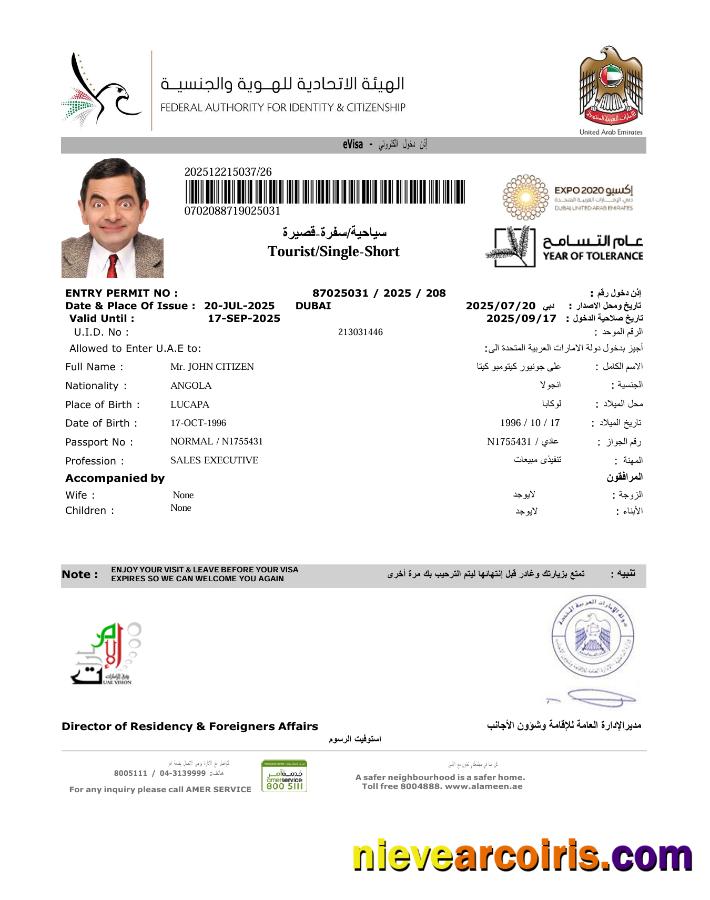 Premium UAE E Visa Template In Word And PDF Formats, Version 7