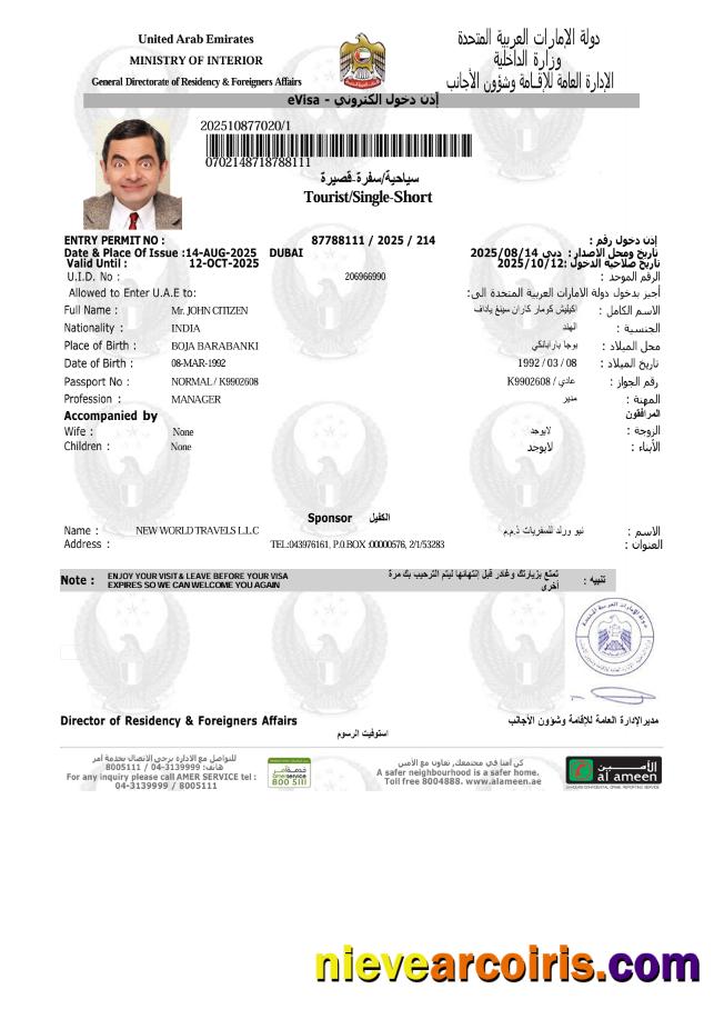 Realistic UAE E Visa Template In Word And PDF Formats, Version 9