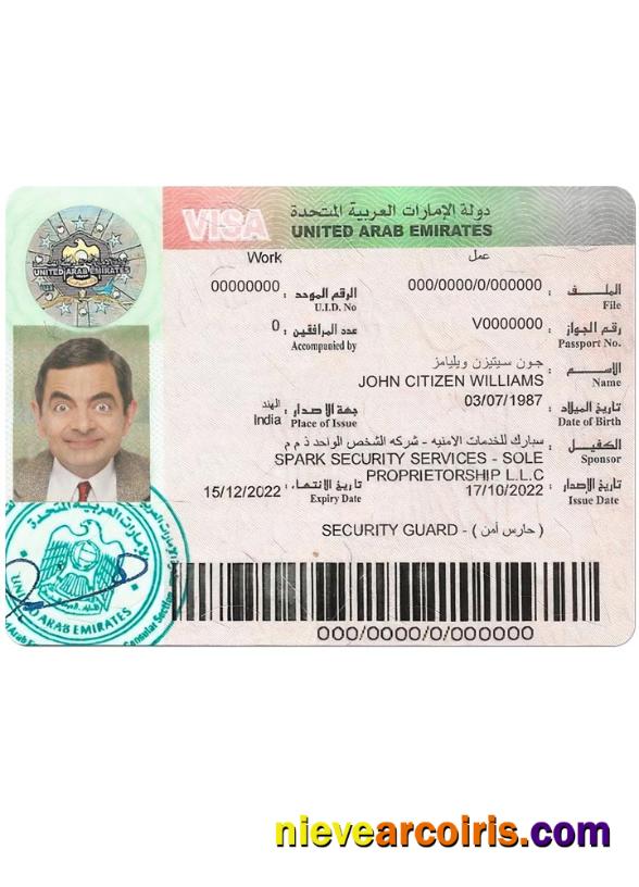 UAE Work Visa Sample