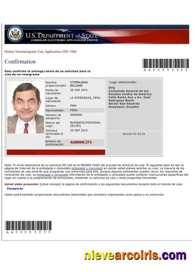 USA Nonimmigrant Visa Application (DS 160) Preview