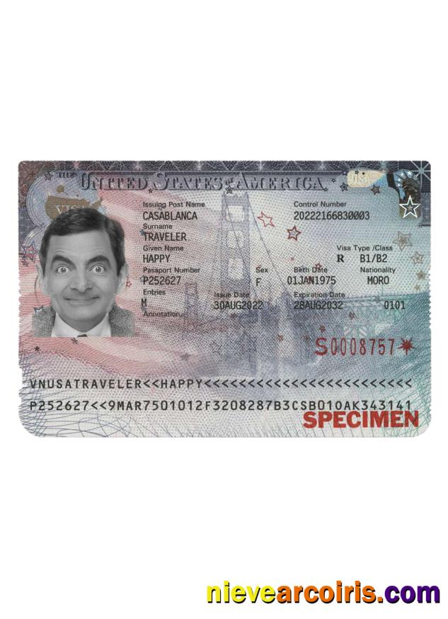 USA Visa 2022 Present Template