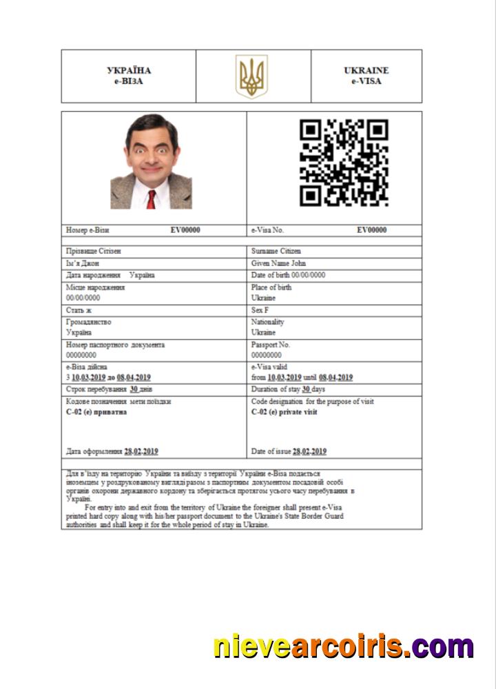 Professional Ukraine E Visa In Word And PDF Template