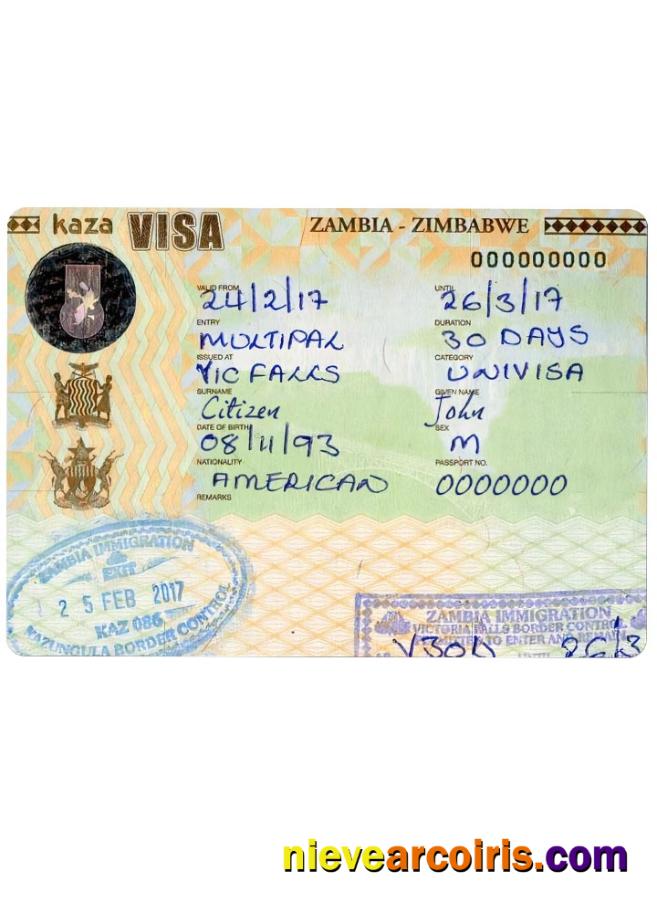 ZAMBIA ZIMBABWE Travel Visa Template