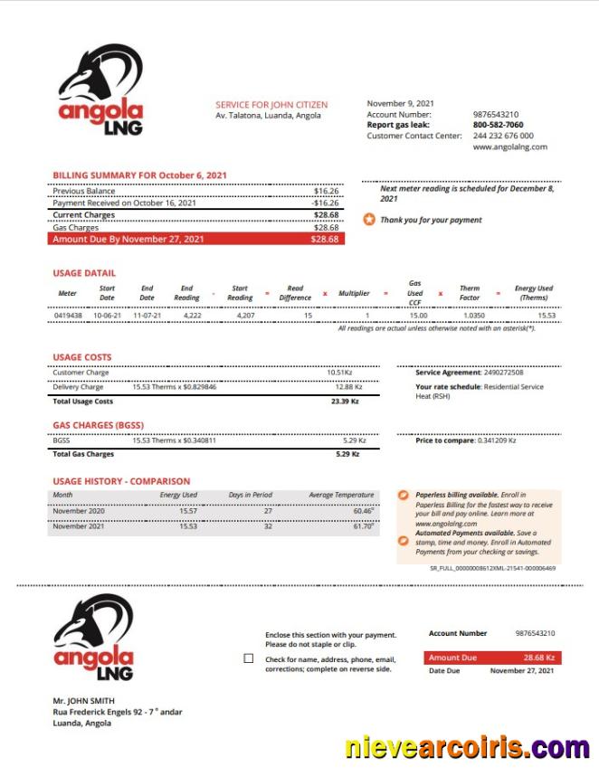 Premium Angola LNG Proof Of Address Utility Bill Template In Word And PDF Format