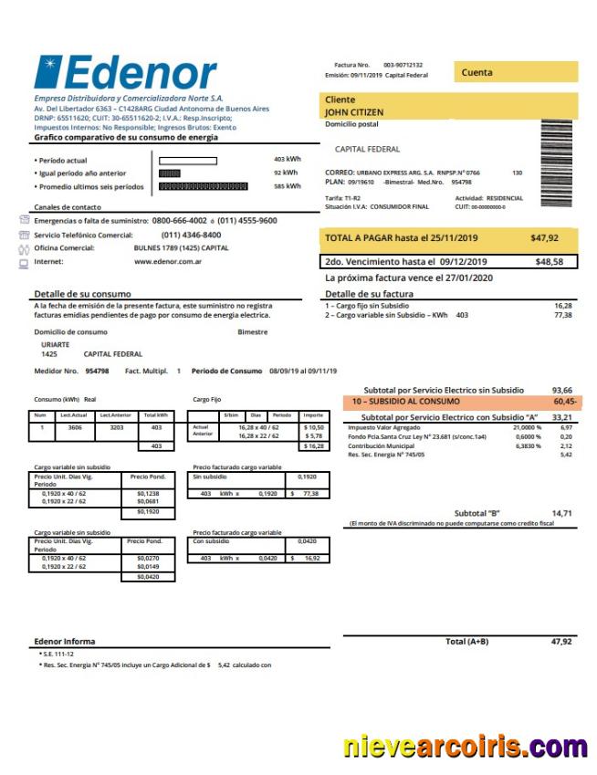 Premium Argentina Edenor Easy To Fill Utility Bill Template In Word (.doc) And PDF (.pdf) Format