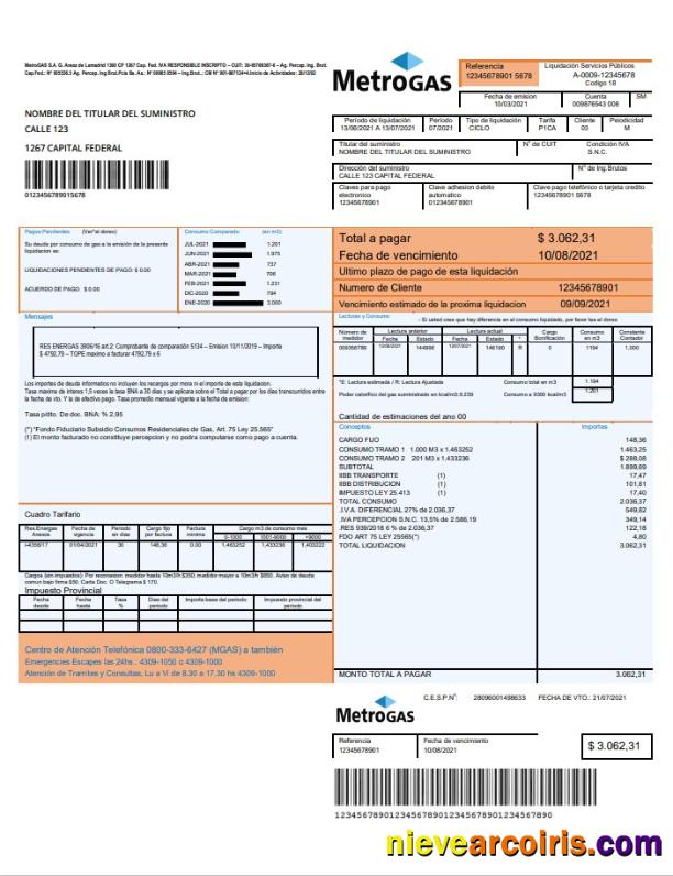 Professional Argentina Metrogas Easy To Fill Utility Bill Template In Word And PDF Format
