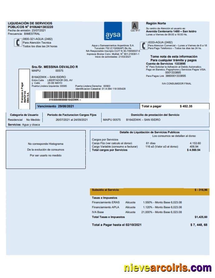 Premium Argentina Water Utility Bill Template Aysa In Word And PDF Format (.doc And .pdf)