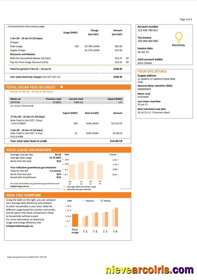 Premium Australia New South Wales (NSW) Origin Electricity Utility Bill Template In Word And PDF Format 3