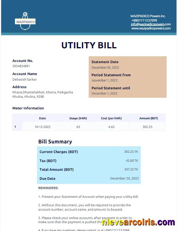 Professional BANGLADESH WAZIPADICO POWER Utility Bill Word And PDF Template