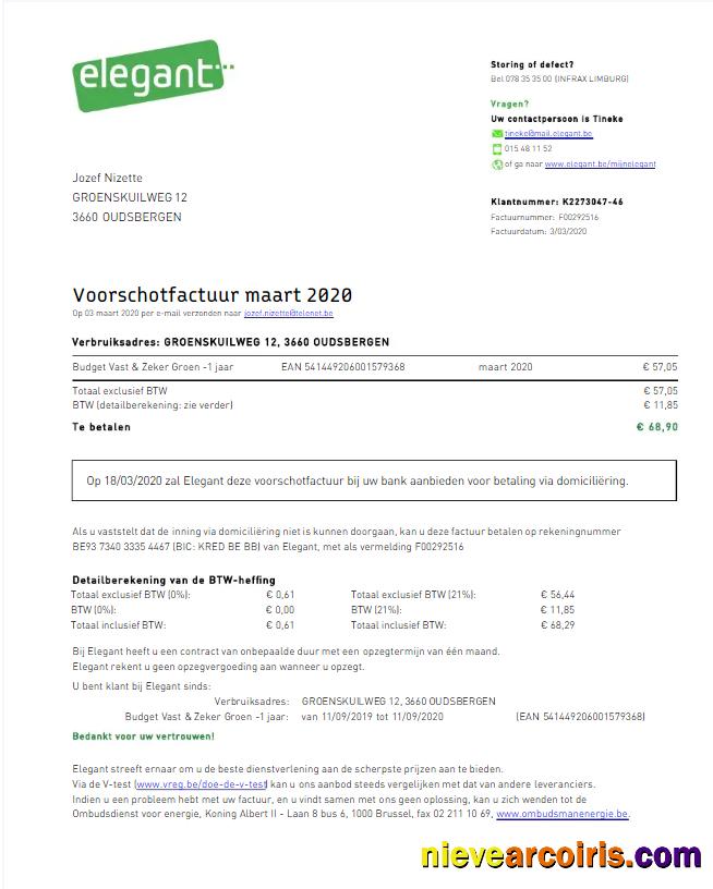 Editable BELGIUM ELEGANT Utility Bill Word And PDF Template