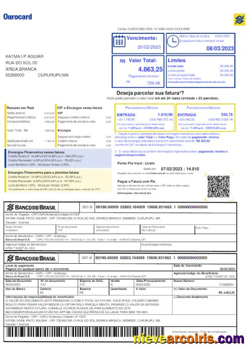 Realistic BRASIL BANCO DO BRASIL Utility Bill Word And PDF Template