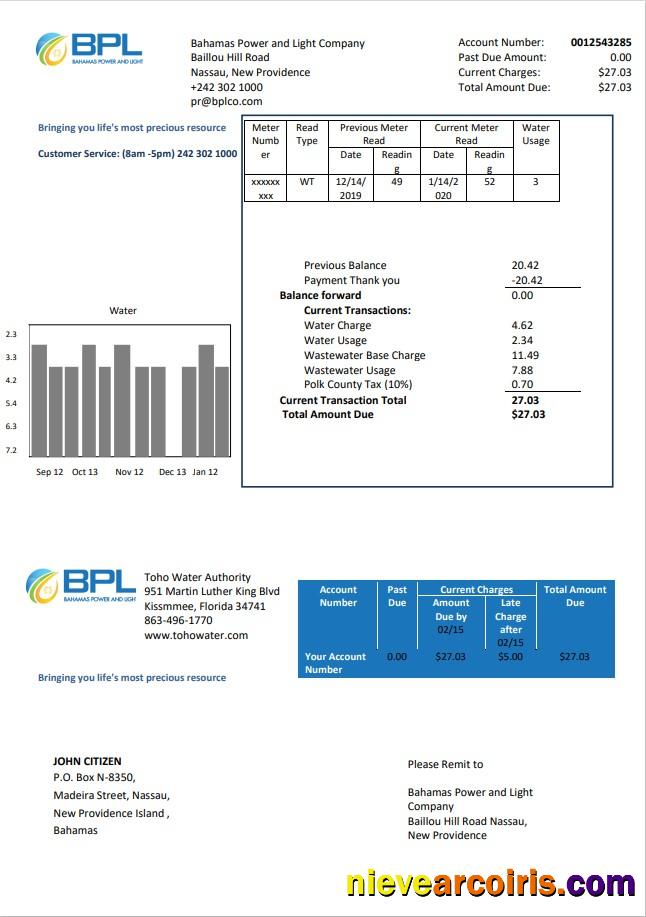Realistic Bahamas Power And Light Company Utility Bill Template In Word And PDF Format