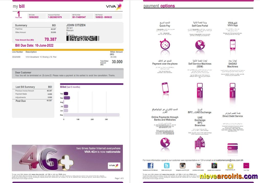 Professional Bahrain Viva My Utility Bill Word And PDF Template, 5 Pages 1 2