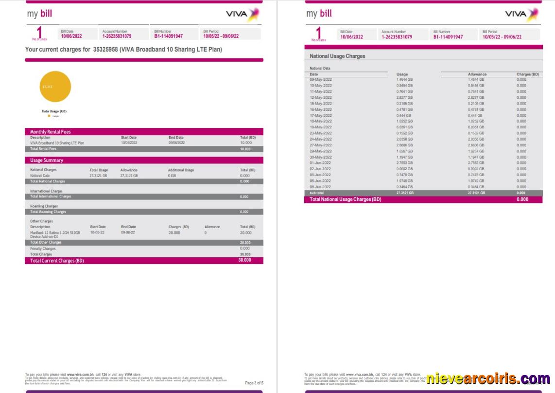 Premium Bahrain Viva My Utility Bill Word And PDF Template, 5 Pages 3 4