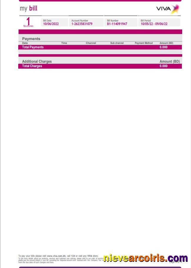 Editable Bahrain Viva My Utility Bill Word And PDF Template, 5 Pages 5