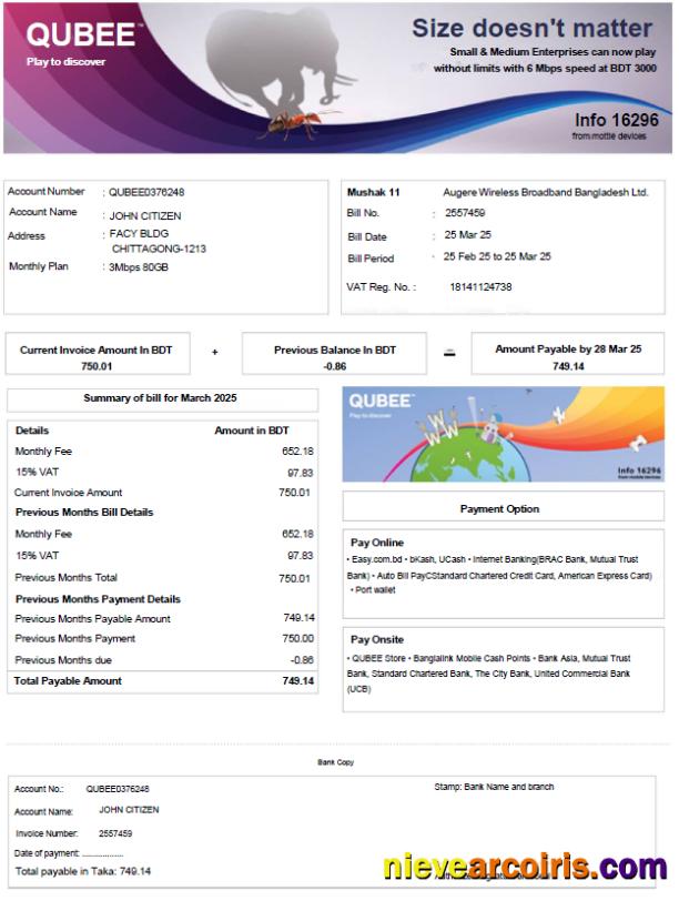 Realistic Bangladesh Qubee Utility Bill Template In Word And PDF Formats