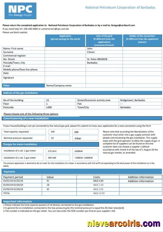 Barbados National Petroleum Corporation Of Barbados Gas Utility Bill Sample