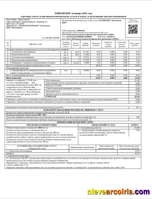 Belarus Utility Billl Sample