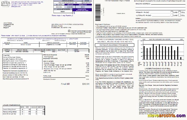 Professional Belgium Golden Valley Electric Association Utility Bill Template In Word And PDF Formats, 2 Pages