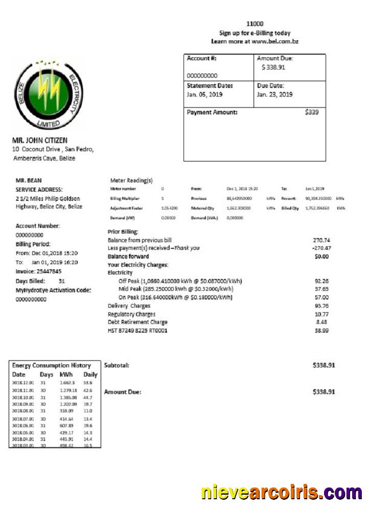 Editable Belize Electricity Limited Electricity Utility Bill Template In Word And PDF Format