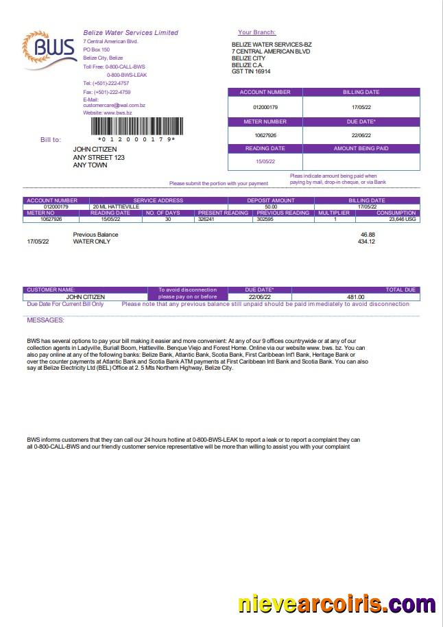 Premium Belize Water Services Limited Utility Bill Template In Word And PDF Format