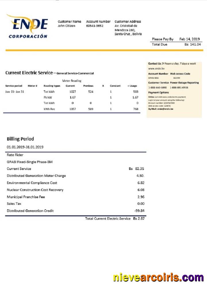 Bolivia ENDE Corporacion Electricity Utility Bill Photolook