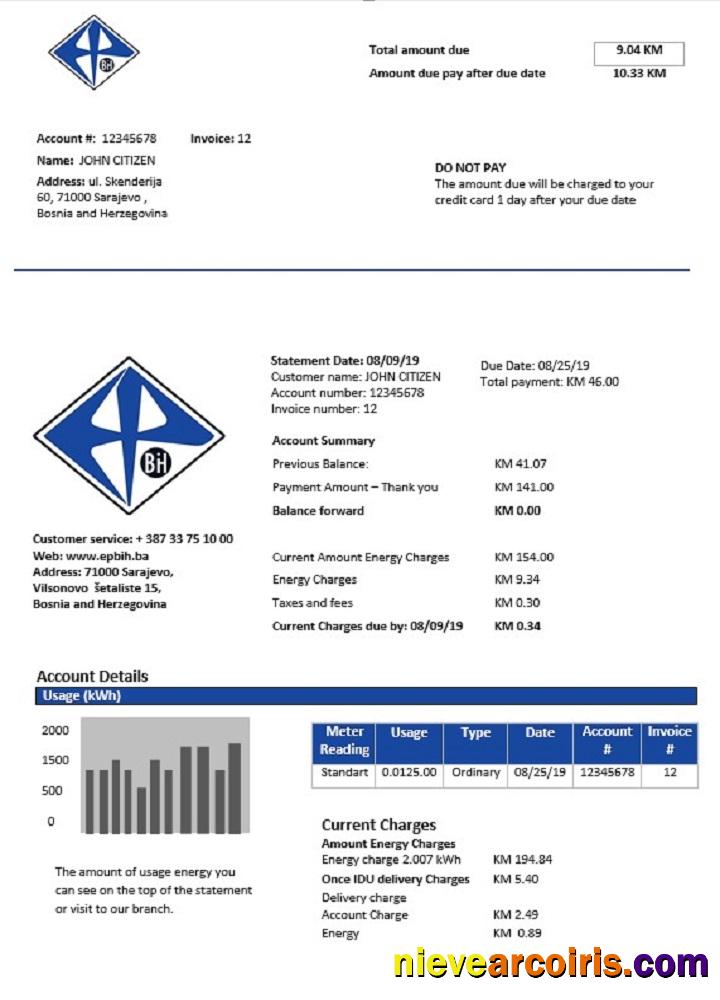 Bosnia And Herzegovina Elektroprivreda BiH Electricity Utility Bill Photolook
