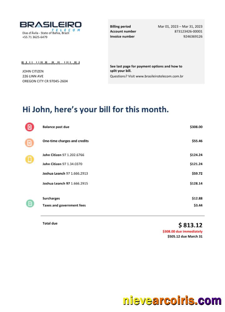 Professional Brazil Braziliero Telecom Telecommunication Bill Word And PDF Template