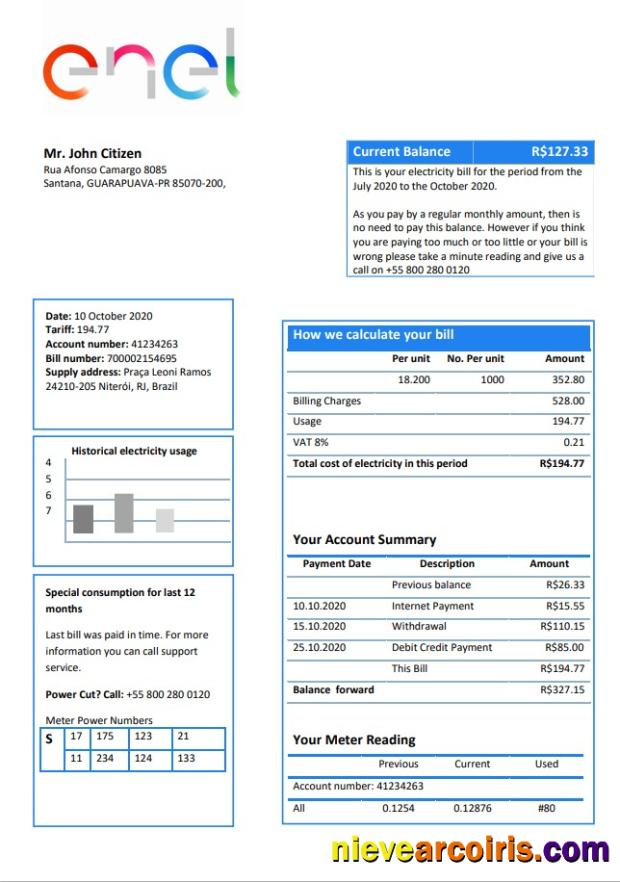 Realistic Brazil ENEL Electricity Utility Bill Template In Word And PDF Format