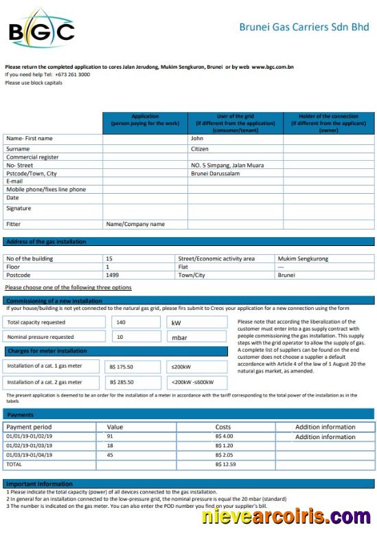 Brunei Gas Carriers Gas Utility Bill Photolook